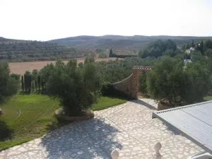 FINCA DE OLIVOS CON RIEGO POR GOTEO