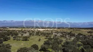 Propriedade com casa à venda na Serra de Gredos