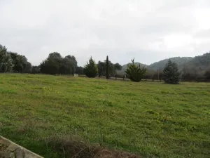 FINCA HIPICA Y DE RECREO EN SEVILLA - 1353