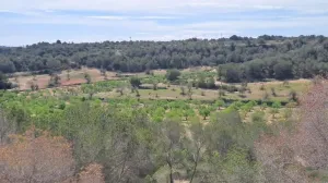Finca de 108ha en explotación y casa de campo