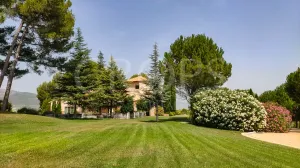 Finca de recreo con un chalet en Alicante