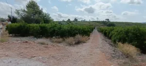 Propriedade rural com 6047 metros quadrados