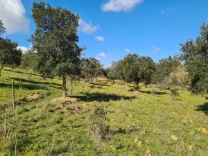 Finca en Messejana Aljustrel