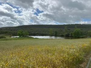 Magnifica Finca