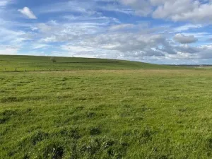 Se alquila finca con cebadero con licencia