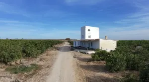 Exclusiva finca en Lomas de Pichardo