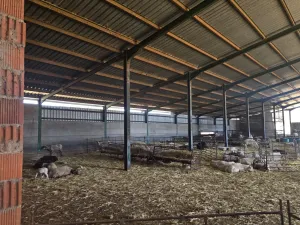 Finca con explotación ganadera
