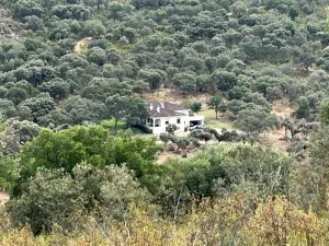 Finca 303 Has en Ciudad Rodrigo-Fotovoltaico