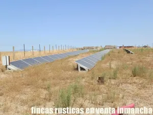 finca en venta 20 has. olivar regadío Toledo