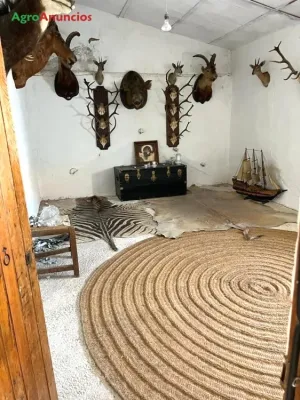 Venta de Finca agrícola 550h en Toledo