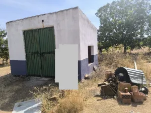 Finca de 8.3 Hectáreas regadío
