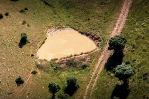 EXCLUSIVA FINCA CINEGÉTICA DE CAZA MYOR