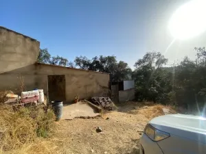 FINCA EN LA NAVA