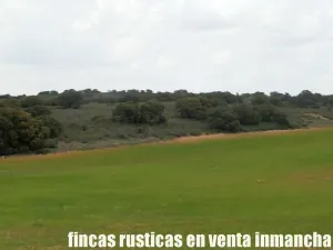 finca en venta 186 has. labor caza menor