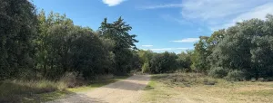 Finca con naves abandonadas en Burgos