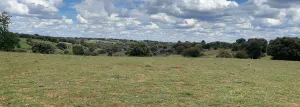Fincas rústicas en Fuentelencina