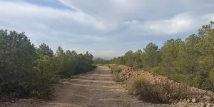 Finca rústica en Tobarra