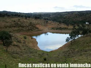 finca en venta 216 has. Recreo Ganadera