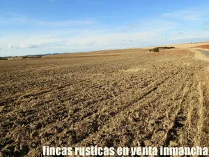 finca en venta 350 has. labor secano olivar