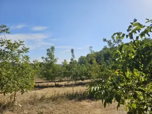 Finca rústica de cultivo en Gandesa