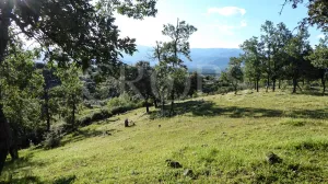 Dehesa para construir en Sierra de Gredos
