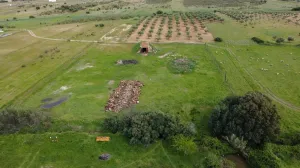 Parcela La Triguera