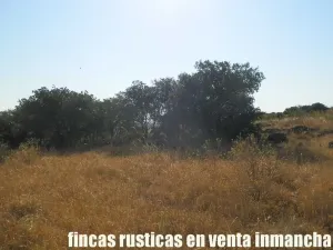 finca venta 326 has labor ganadera en Almagro