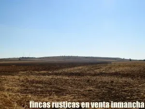 finca en venta 184 has. labor riego Belmonte