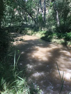 Finca agricola, cinegetica y recreo
