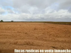 finca en venta 22 has. Pistacho-Labor riego