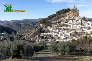 PRECIOSO TERRENO DE RECREO EN MONTEFRIO