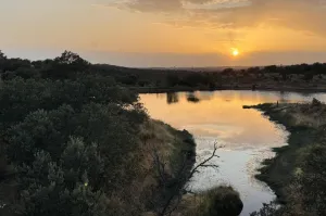 Finca Con Buen Acceso En Venta.