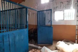 Finca Ecuestre Y Plaza De Toros En Cordoba