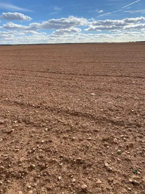 [gestifincarustica] - Tierra calma de  labor