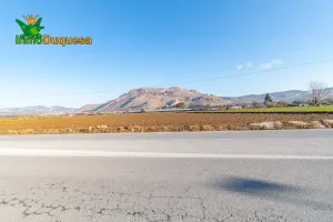 Venta de parcela de regadío en Fuente Vaquero