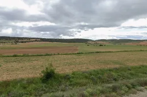 5 Fincas rústicas + 1 corral + 2 urbanas