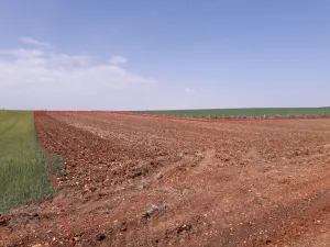 12 Has secano Barregas (a 12 km de Salamanca)