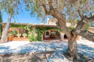 Finca en Senija - Alicante