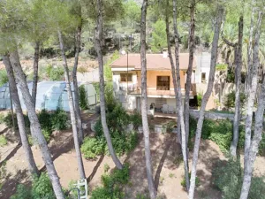 Finca Muro de Alcoy - Alicante