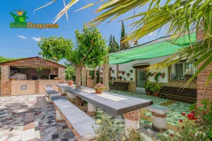 Finca RÚSTICA en Pinos Puente.