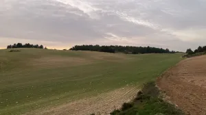 Venta finca agrícola y cinegética de 345 Has