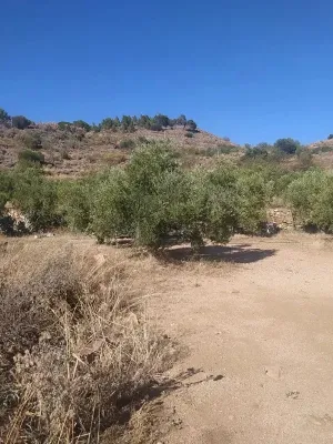 Finca rústica en Riudecanyes - Tarragona