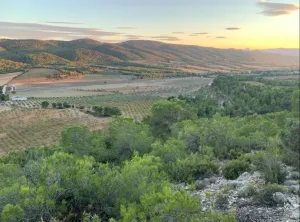 Finca rústica con producción ecológica y coto