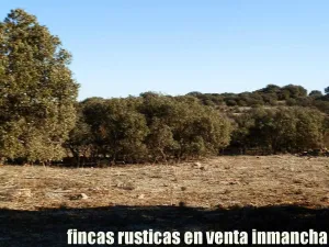 finca en venta 106 has. labor monte en Toledo