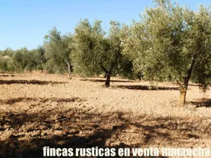 finca en venta 30 has. recreo en Madrid
