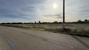 Se vende finca rústica 981 pol.2, VILLARALBO