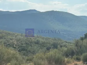 FINCA CINEGÉTICA VENTA ZONA DE LOS IBORES