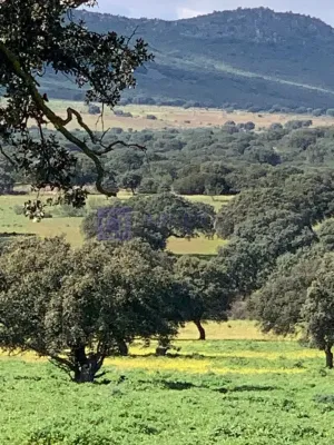 FINCA GANADERA Y CINEGÉTICA EN ZONA MÉRIDA