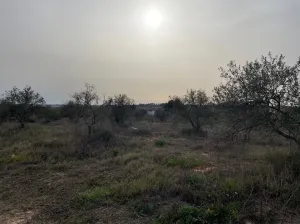 Finca Fontanilla La Palma del Condado