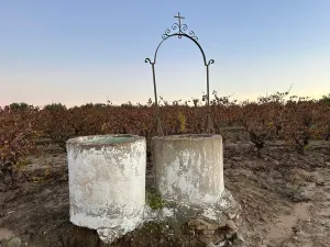 Finca con pozo Bollullos Par del Condado
